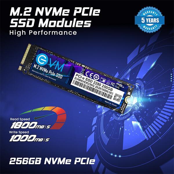 EVM 256GB M.2 NVMe PCIe High Performance Solid State Drive