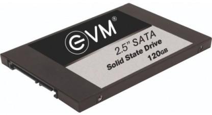 EVM 25 120 GB Desktop Internal Solid State Drive (EVM25/120GB)