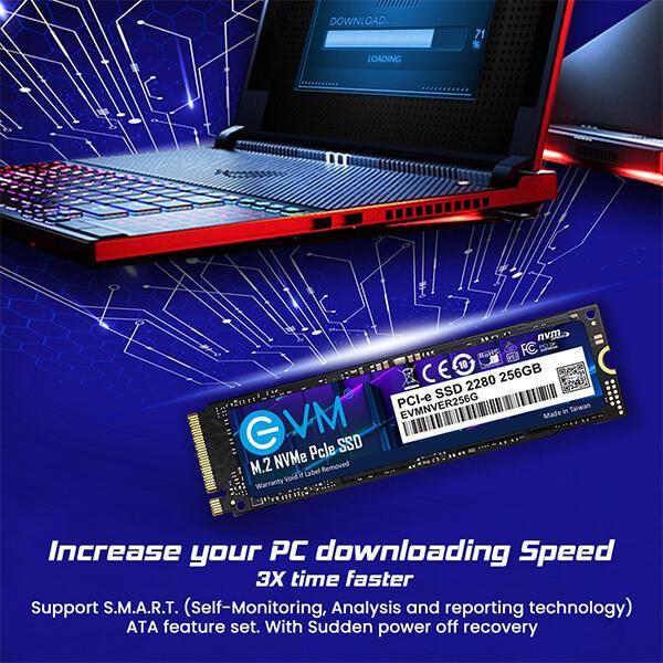 EVM 256GB M.2 NVMe PCIe High Performance Solid State Drive