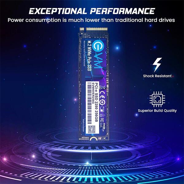 EVM 256GB M.2 NVMe PCIe High Performance Solid State Drive